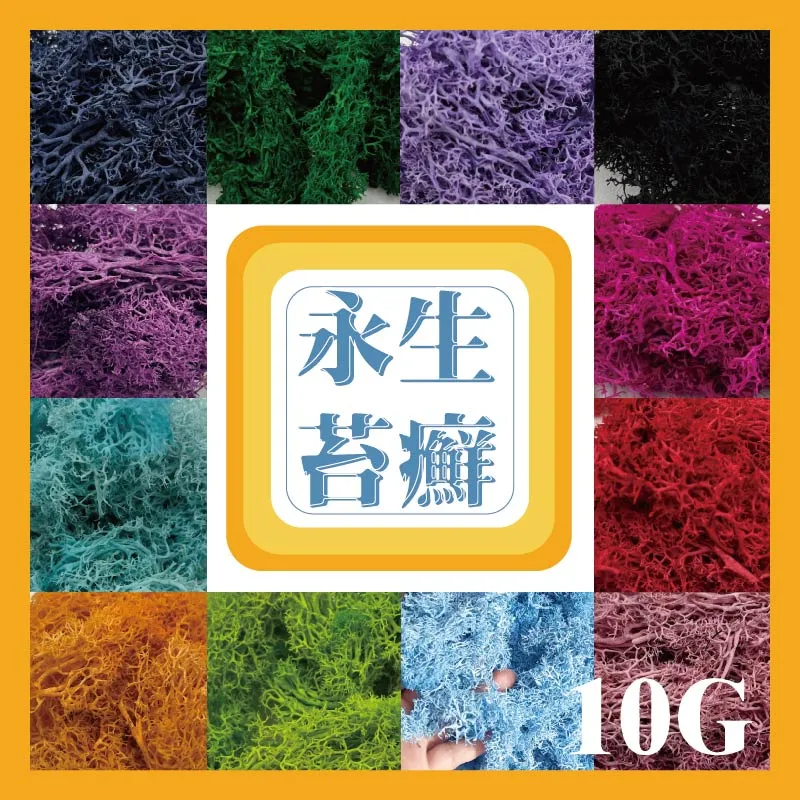 苔花集&mdash;&mdash;福建師範大學文學院 2022-2023學年研究生優秀論文集[88折] TAAZE讀冊生活 歷史價格詳細信息