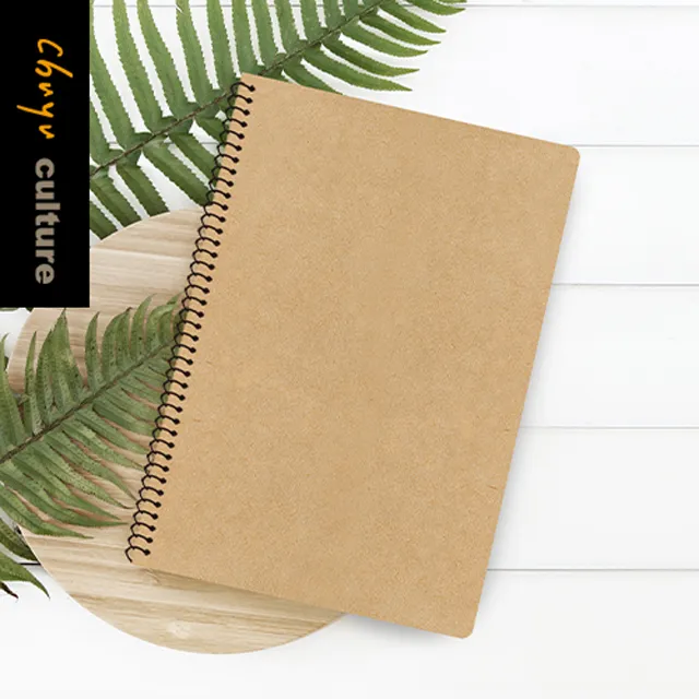 SS-10311-50 A6牛皮線圈筆記(橫線)-80張【6入】 歷史價格詳細信息