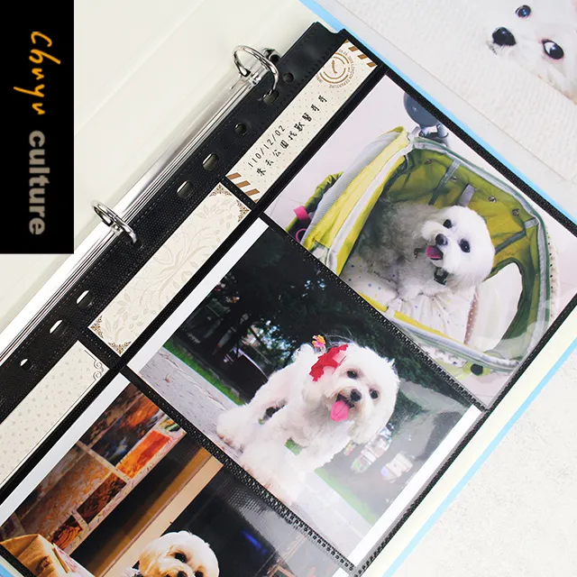 PH-10111 10K3孔4*6內頁-米/10張 歷史價格詳細信息