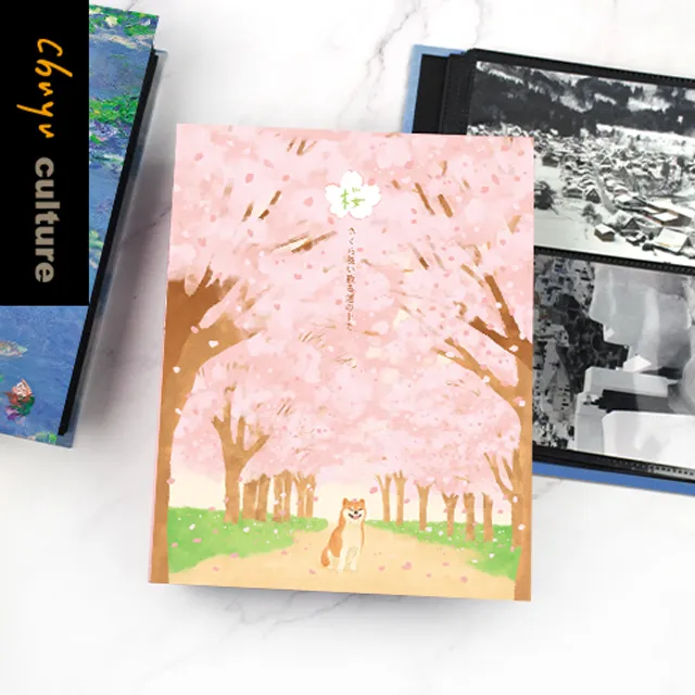 PH-20051 20K雙格相本(4x6)200枚 歷史價格詳細信息