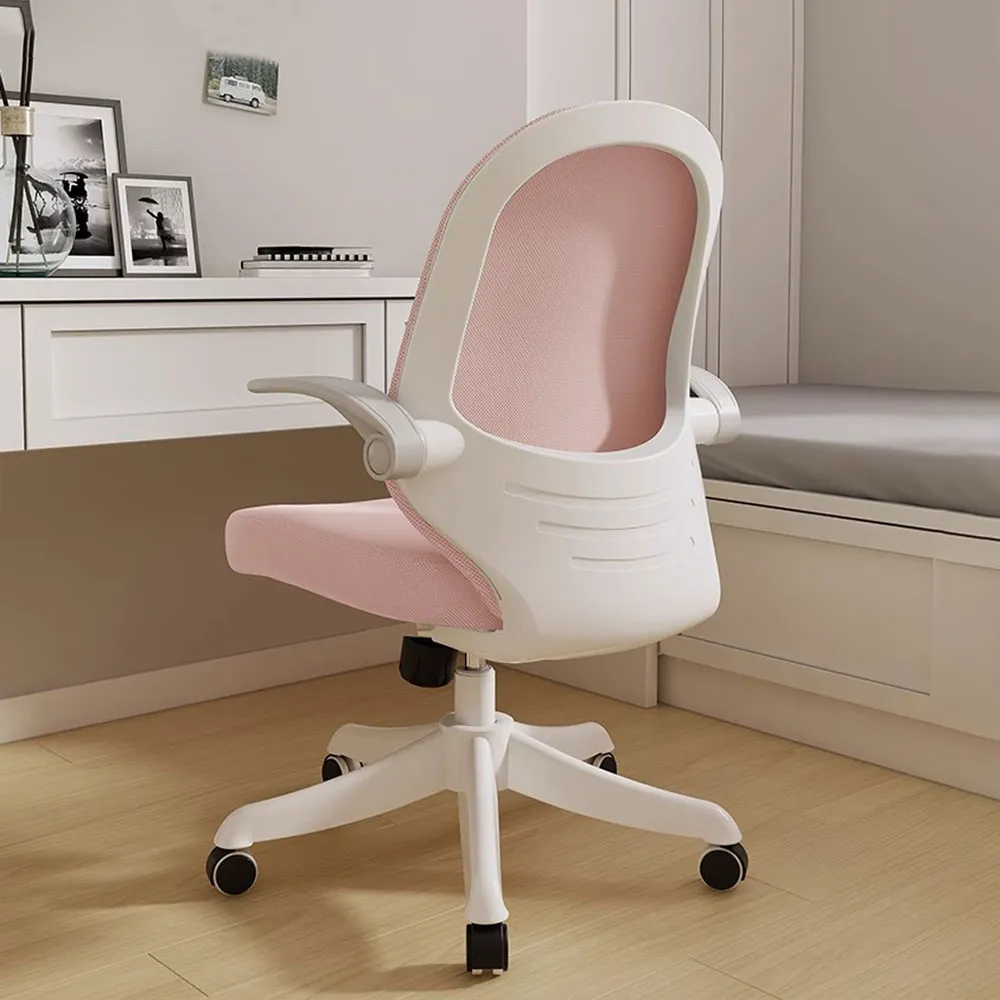 《坐得正》2024 新款 辦公椅 電腦椅 人體工學椅 升降椅 電競椅 旋轉椅(OA530) 歷史價格詳細信息