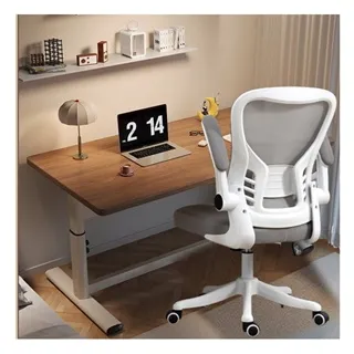 MGSHOP兒童青少年人體工學椅電腦椅(書桌椅 成長椅 升降椅) 歷史價格詳細信息