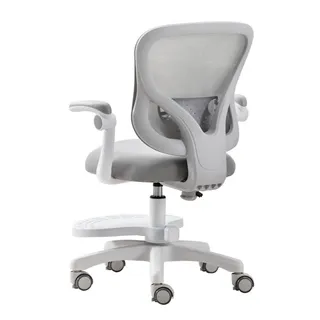 MGSHOP兒童青少年人體工學椅電腦椅(書桌椅 成長椅 升降椅) 歷史價格詳細信息