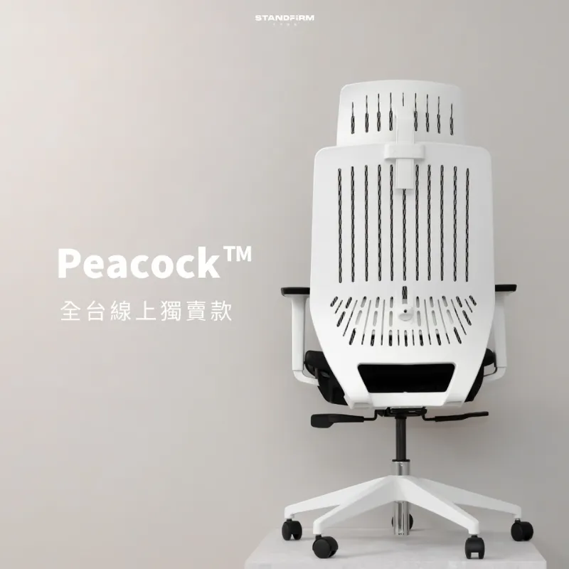 【Backbone】Peacock人體工學椅 -黑框黑座 含頭枕 歷史價格詳細信息