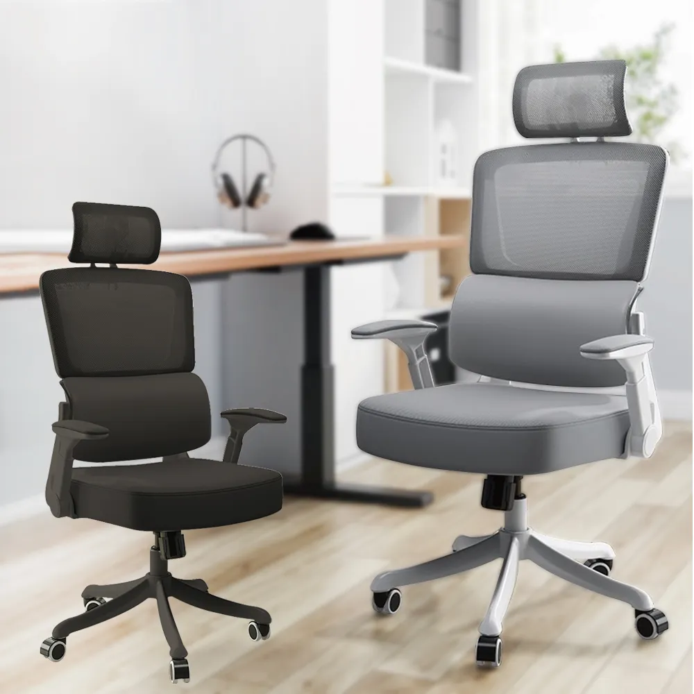 【Z.O.E】Model-X人體工學網椅/電腦椅/辦公椅(2色可選) 歷史價格詳細信息