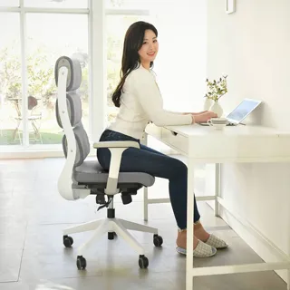 【DonQuiXoTe】韓國原裝X5健康紓壓高背辦公椅(黑框)-3色可選 歷史價格詳細信息