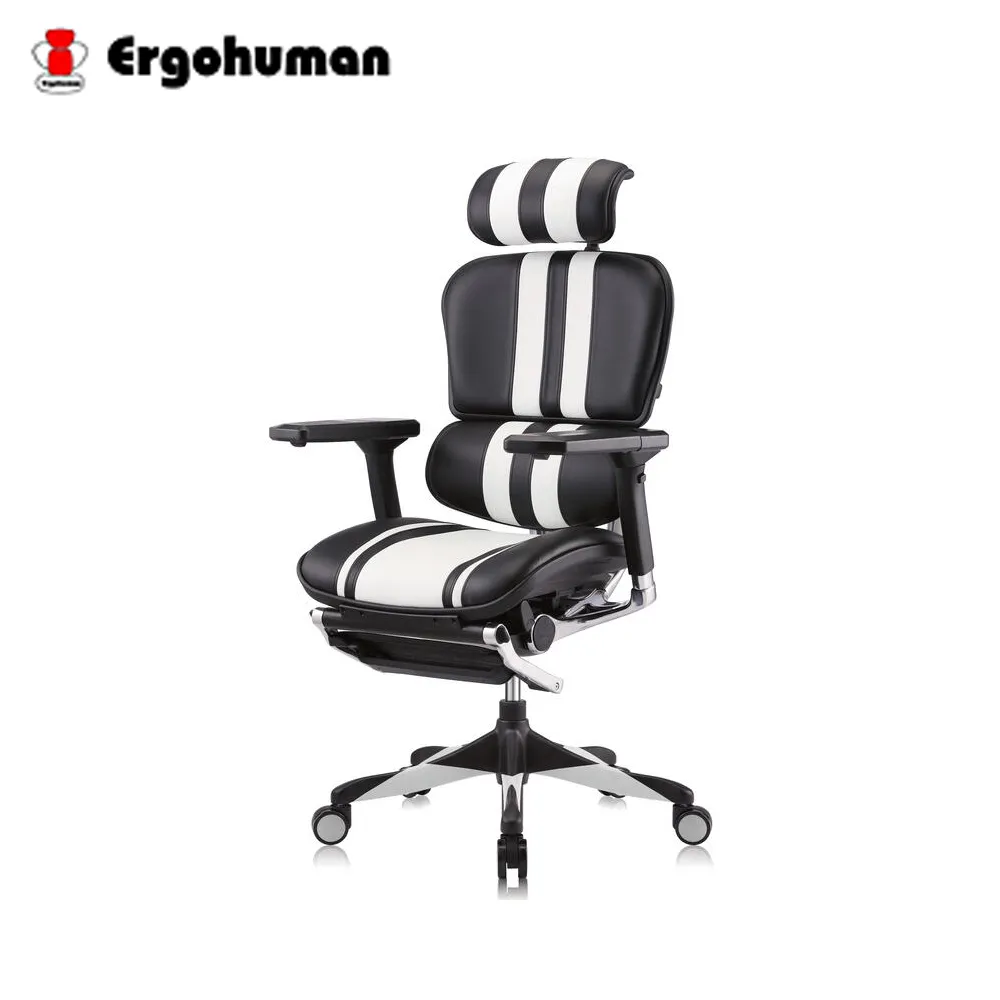 【ERGOHUMAN】111 PLUS  頂級版 人體工學透氣網椅 歷史價格詳細信息