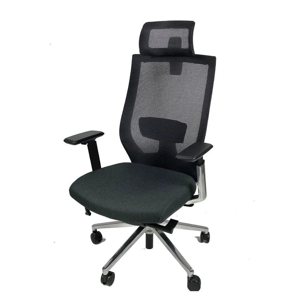 PRO ChAIR 椅子多 Titank泰坦椅(造型鋁合金椅腳 椅背調高低) 電腦椅/辦公椅/人體工學椅 歷史價格詳細信息