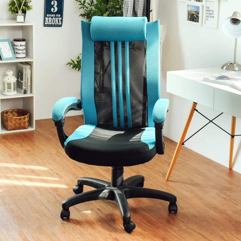 Peachy Life 人體工學透氣網布D扶手辦公椅/電腦椅(6色可選) 歷史價格詳細信息