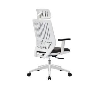 Backbone Peacock 人體工學椅 經典黑框 歷史價格詳細信息