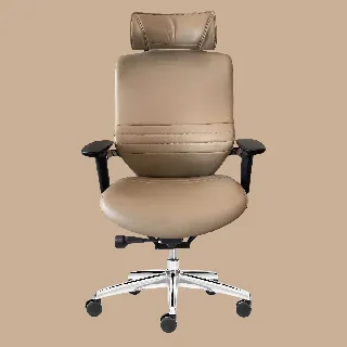 舒樂活4Health 2Move舒背椅 中背 歷史價格詳細信息