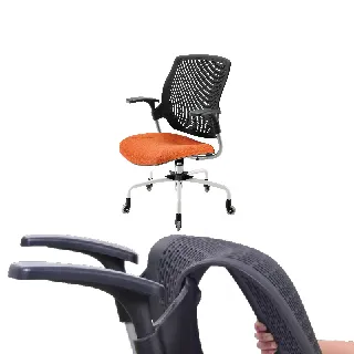 舒樂活4Health 2Move舒背椅 中背 歷史價格詳細信息