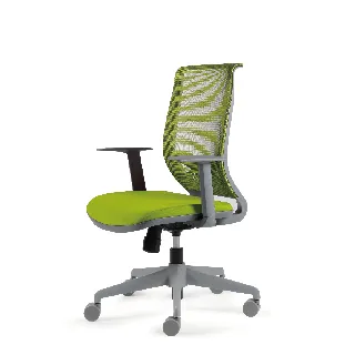 舒樂活4Health 2Move舒背椅 中背 歷史價格詳細信息