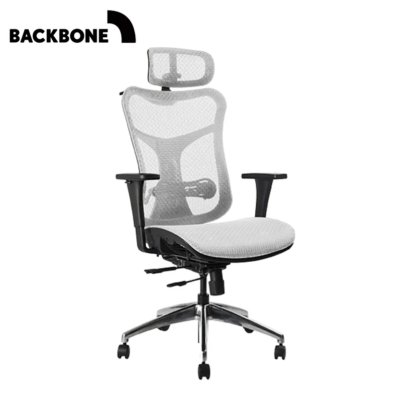 Backbone Kabuto 人體工學椅(黑框)-灰網座 歷史價格詳細信息