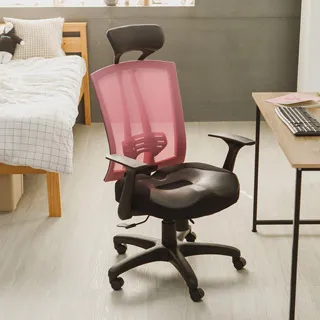 Peachy Life 透氣網布D扶手辦公椅/電腦椅(6色可選) 歷史價格詳細信息