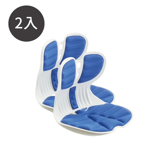 Peachy Life 人體工學護腰矯正坐墊/椅墊/腰墊/美姿美儀-大兩入組(4色可選) 歷史價格詳細信息