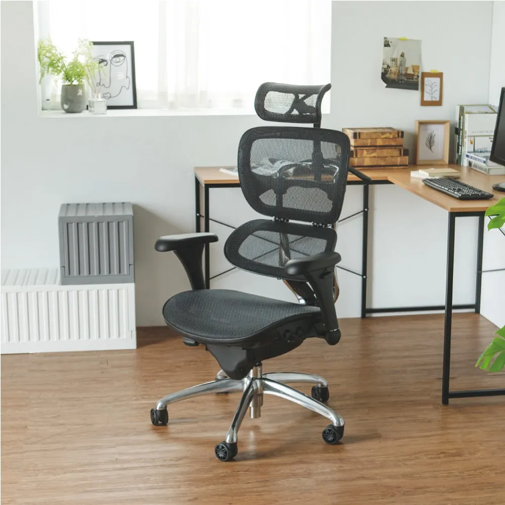 Peachy Life 高機能全網透氣電腦椅/辦公椅(2色可選) 歷史價格詳細信息