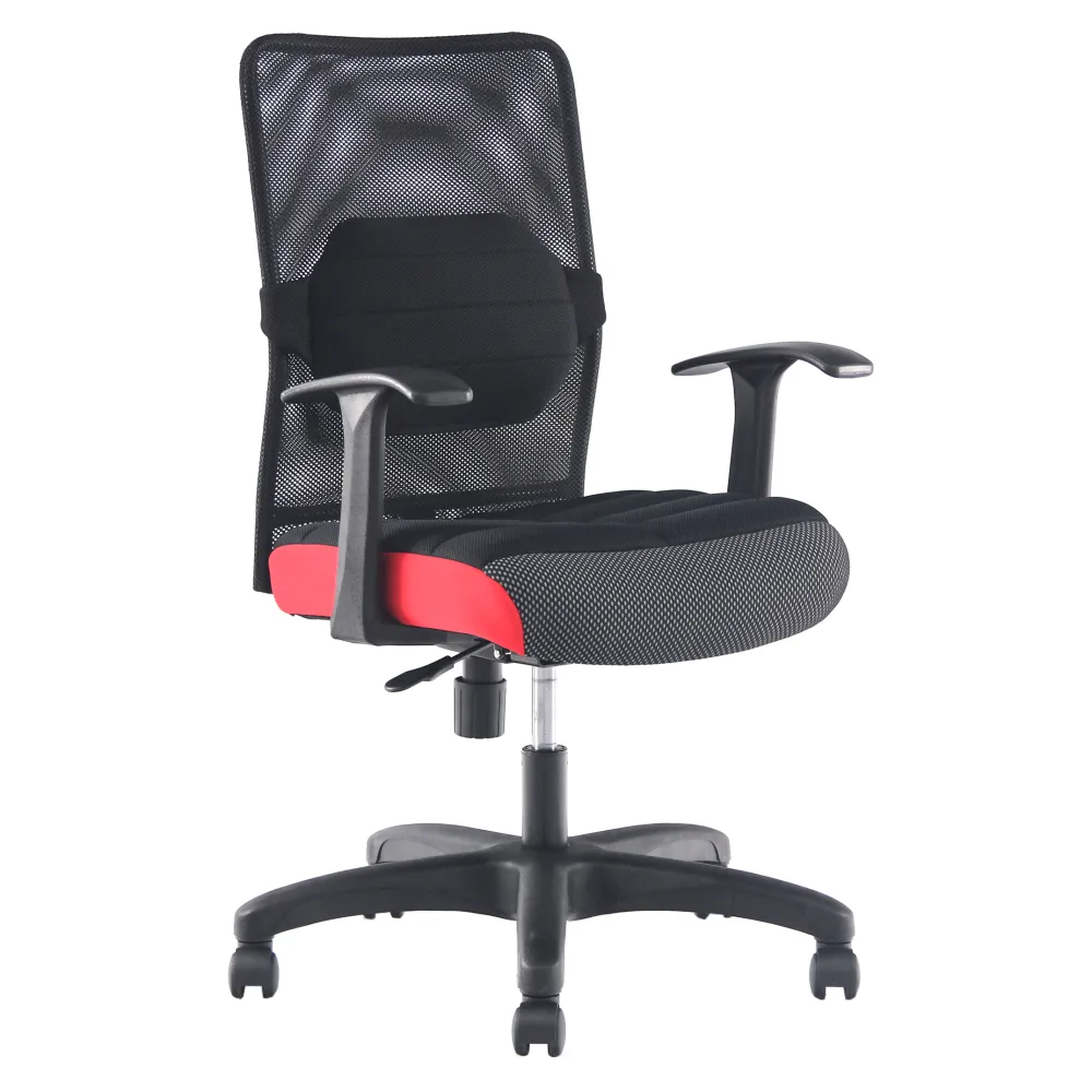 DR. AIR 氣墊午睡枕腰靠椅墊辦公網椅附頭枕(2110) 歷史價格詳細信息