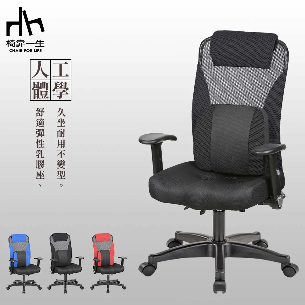 【椅靠一生】洛可高背大護腰可後仰固定式有把手透氣網布電腦椅/辦公椅/宿舍椅/躺椅/人體工學椅 歷史價格詳細信息
