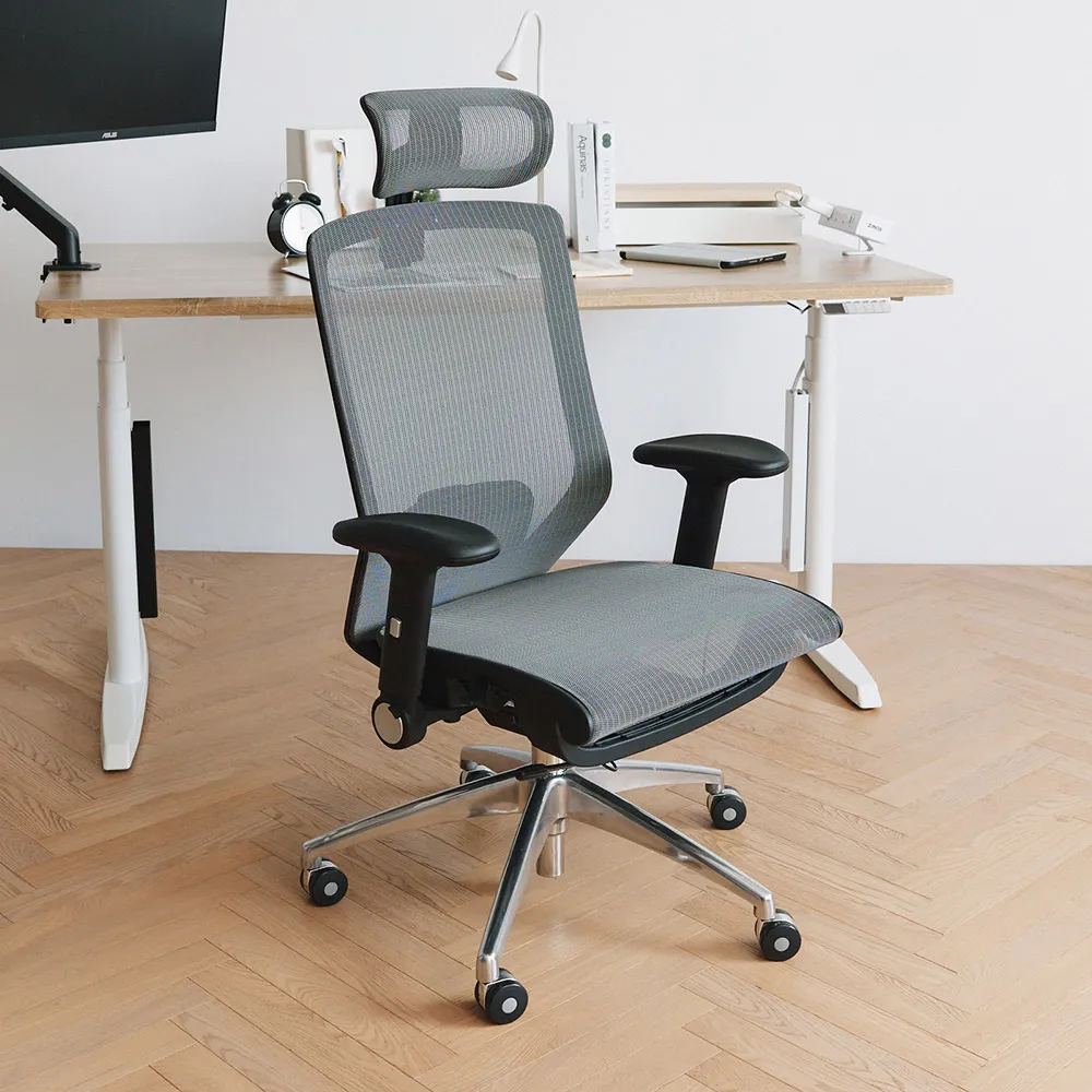 Peachy Life 高背人體工學龍骨電腦椅/辦公椅/辦公椅 歷史價格詳細信息