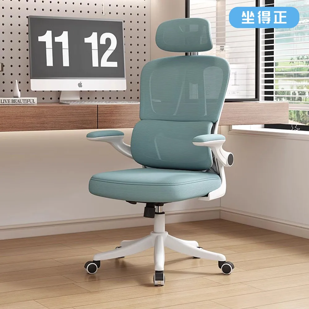 《坐得正》OA310N 2024新款 頭枕款式 辦公椅 電腦椅 人體工學椅 升降椅 旋轉椅 價格比較,價格查詢,歷史價格詳細信息