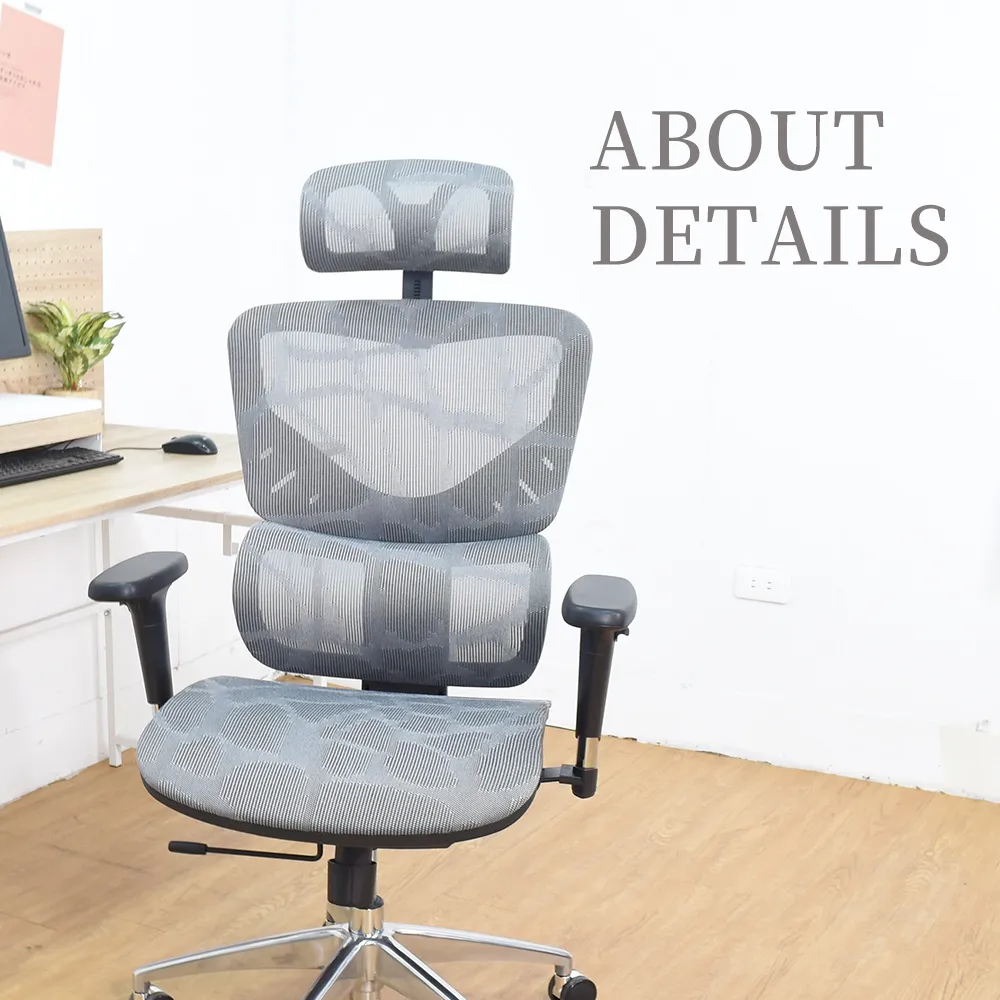 路易高機能護腰強韌全網工學椅 歷史價格詳細信息