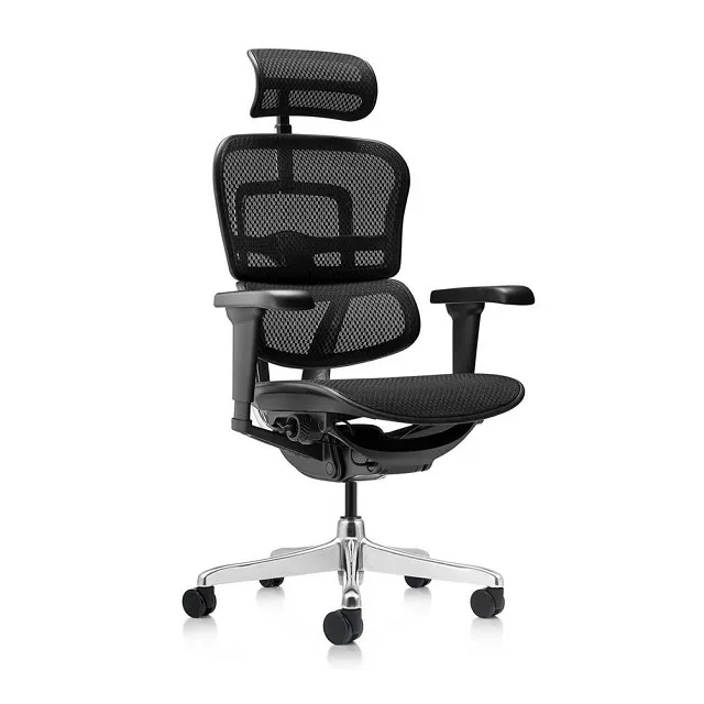 ERGOHUMAN ULTRA 雄鷹版 人體工學椅(無腳凳版)(4D扶手) 歷史價格詳細信息