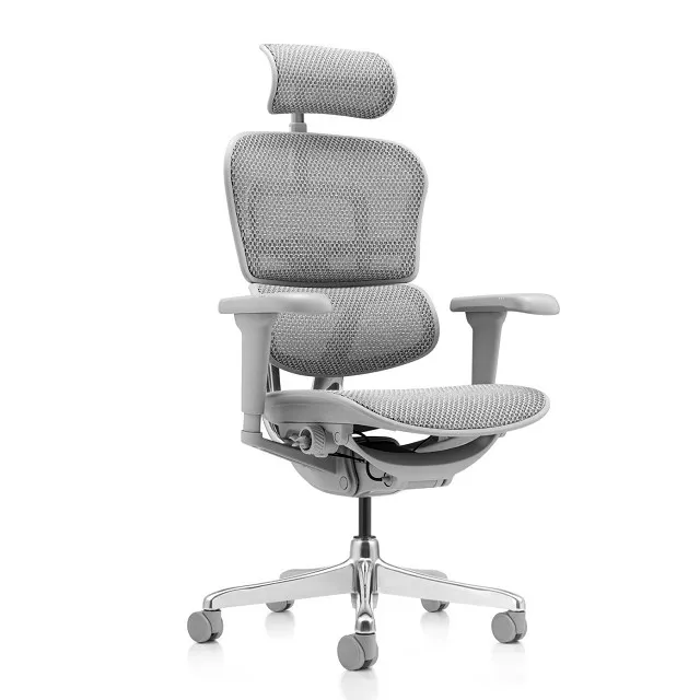 ERGOHUMAN ULTRA 雄鷹版 人體工學椅(無腳凳版)(4D扶手) 歷史價格詳細信息