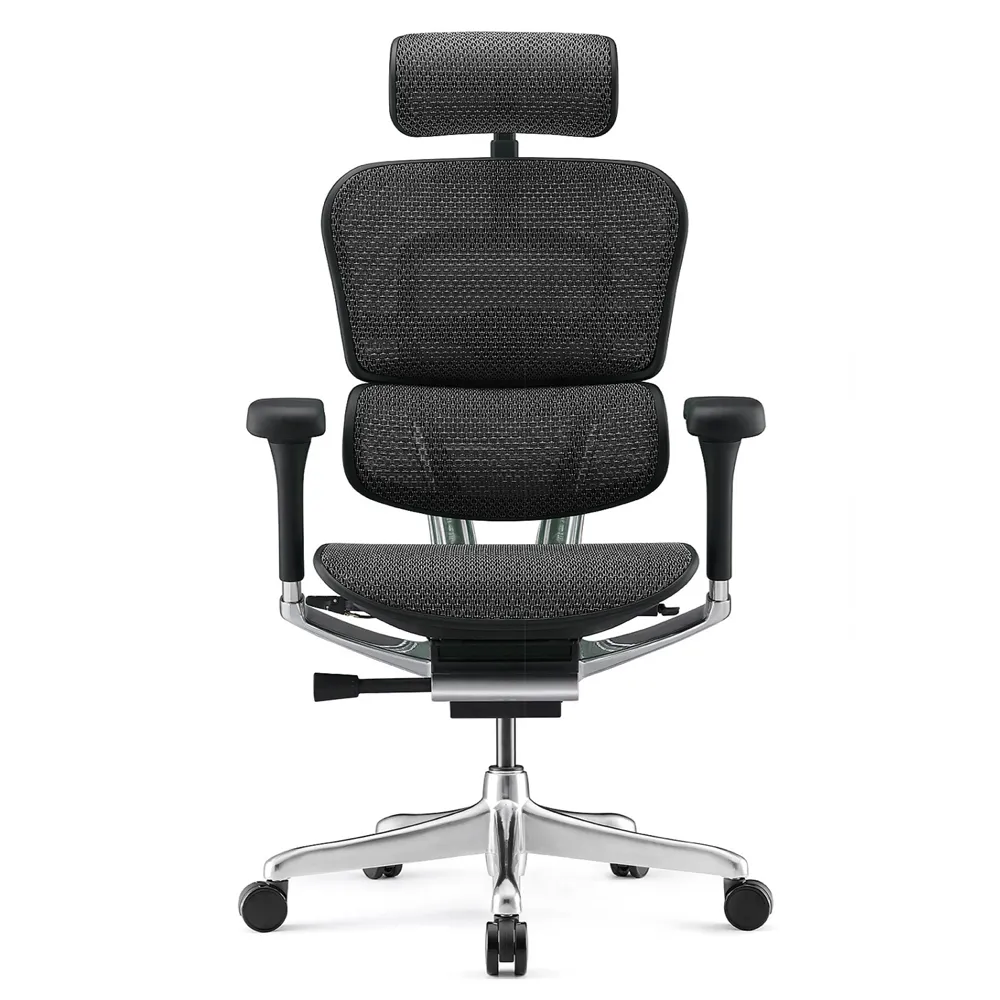 ERGOHUMAN ULTRA 雄鷹版 人體工學椅(無腳凳版)(4D扶手) 歷史價格詳細信息