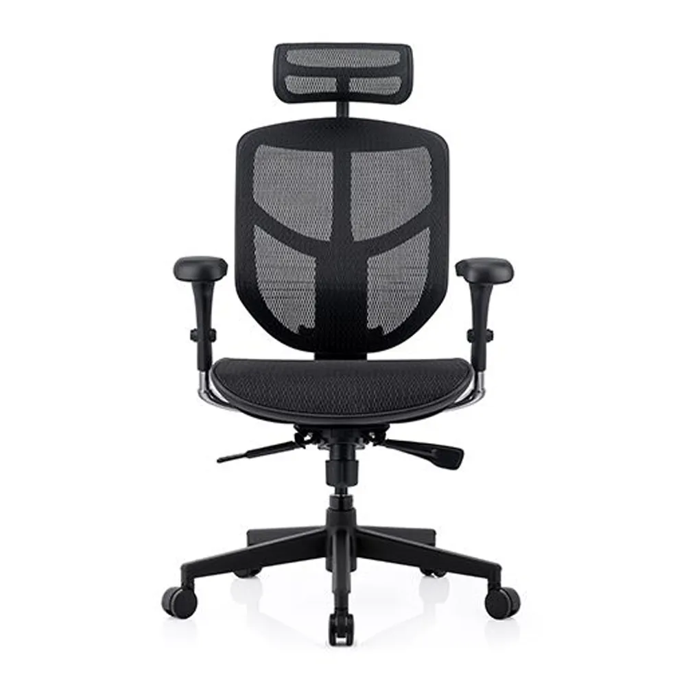 ERGOHUMAN ULTRA 雄鷹版 人體工學椅(無腳凳版)(4D扶手) 歷史價格詳細信息