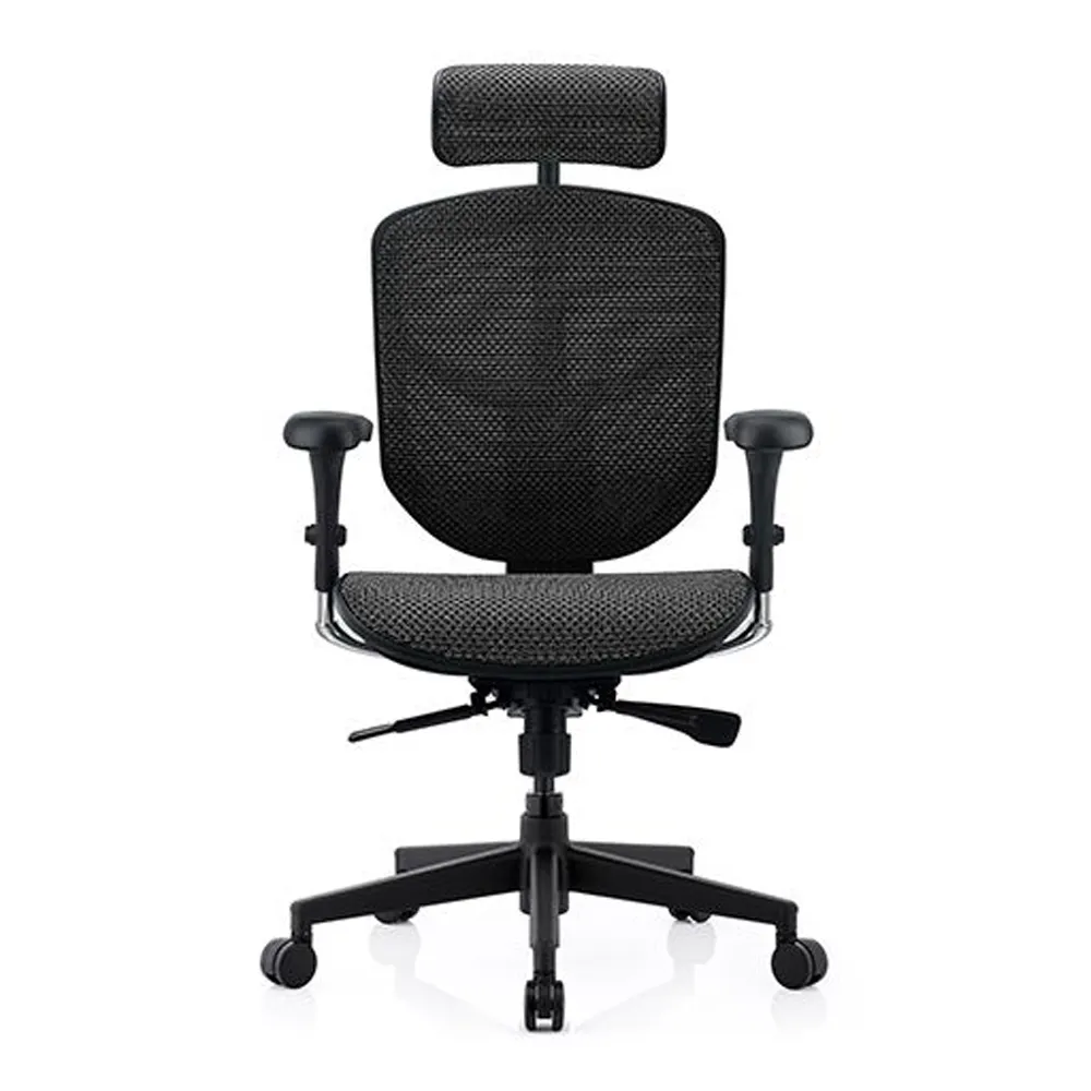 ERGOHUMAN ULTRA 雄鷹版 人體工學椅(無腳凳版)(4D扶手) 歷史價格詳細信息