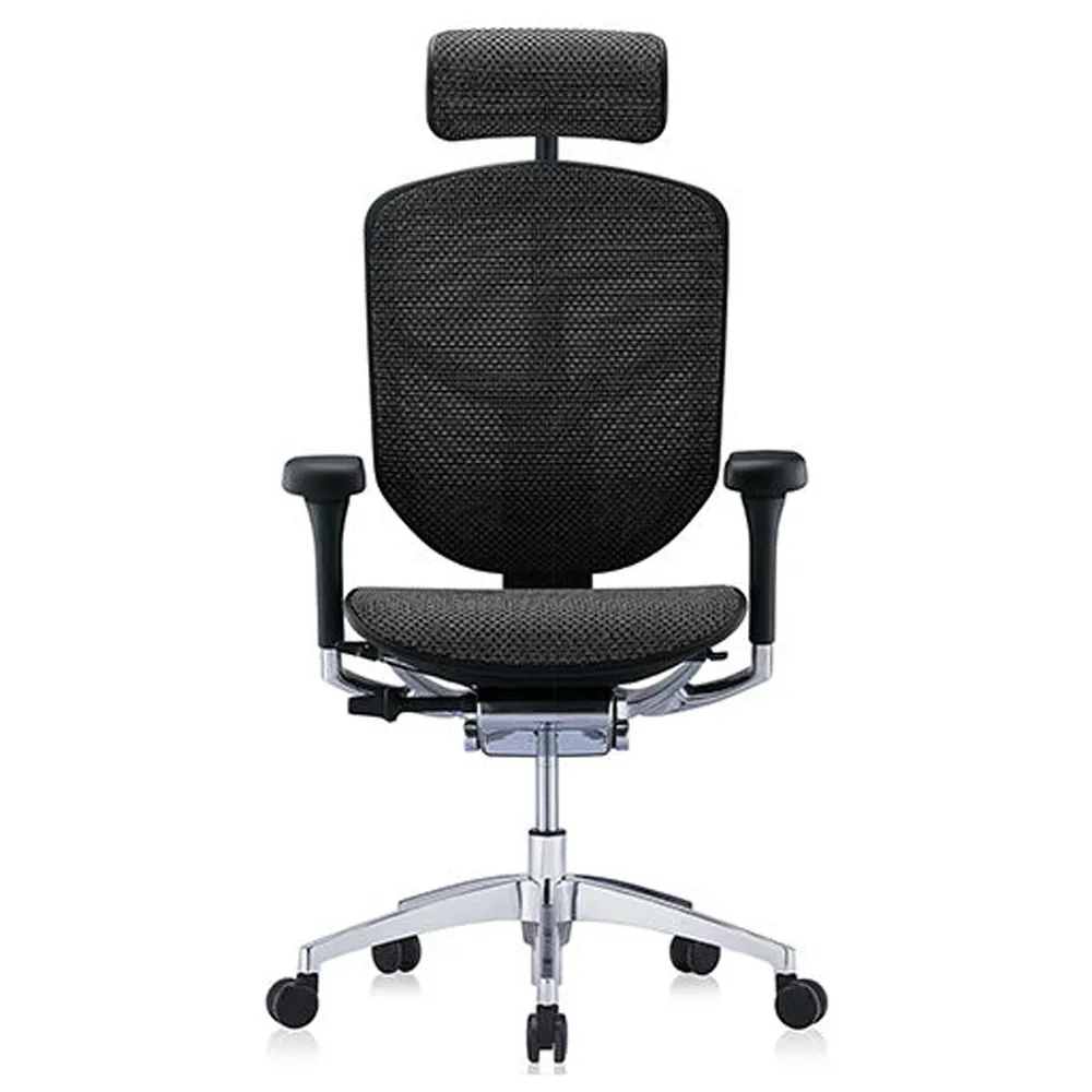 ERGOHUMAN ULTRA 雄鷹版 人體工學椅(無腳凳版)(4D扶手) 歷史價格詳細信息