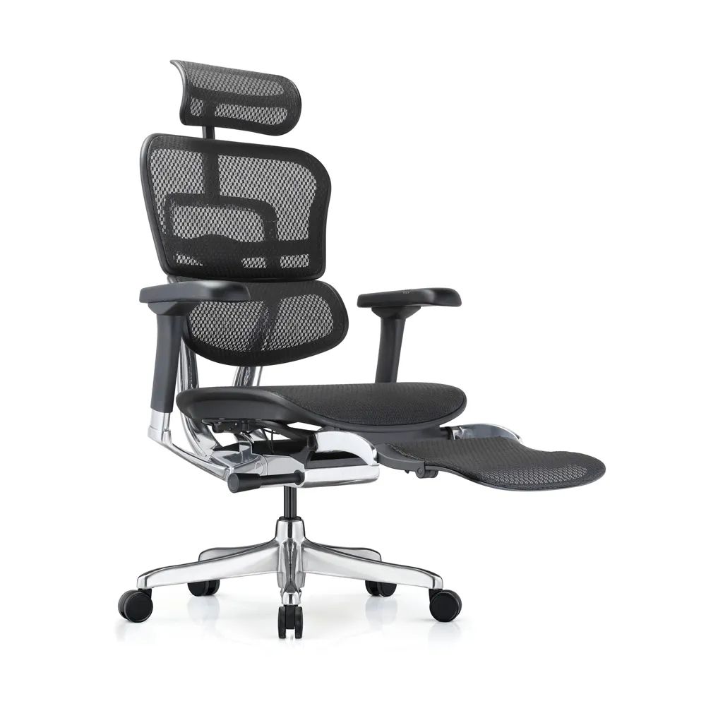 ERGOHUMAN ULTRA 雄鷹版 人體工學椅(無腳凳版)(4D扶手) 歷史價格詳細信息