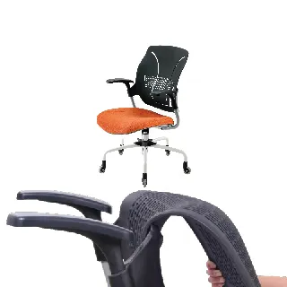 【舒樂活 4Health】舒背椅 — 健康居家辦公椅（標準背） 歷史價格詳細信息