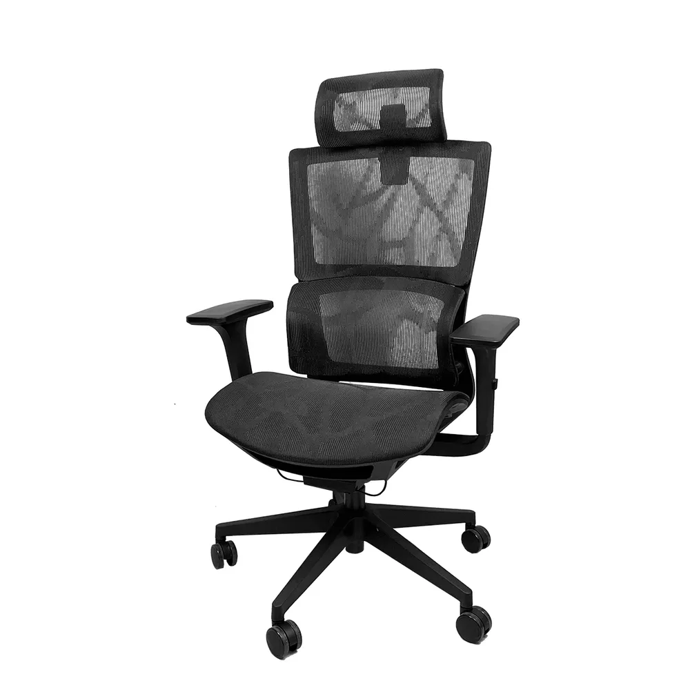 PRO ChAIR 椅子多 Ares瑞斯椅(全網面設計 線控) 電腦椅/辦公椅/人體工學椅 歷史價格詳細信息