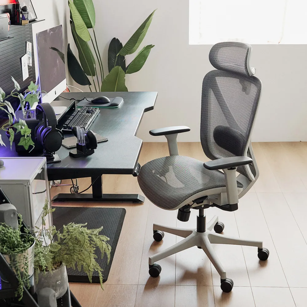 Peachy Life 人體工學護腰矯正坐墊/椅墊/腰墊/美姿美儀-大兩入組(4色可選) 歷史價格詳細信息