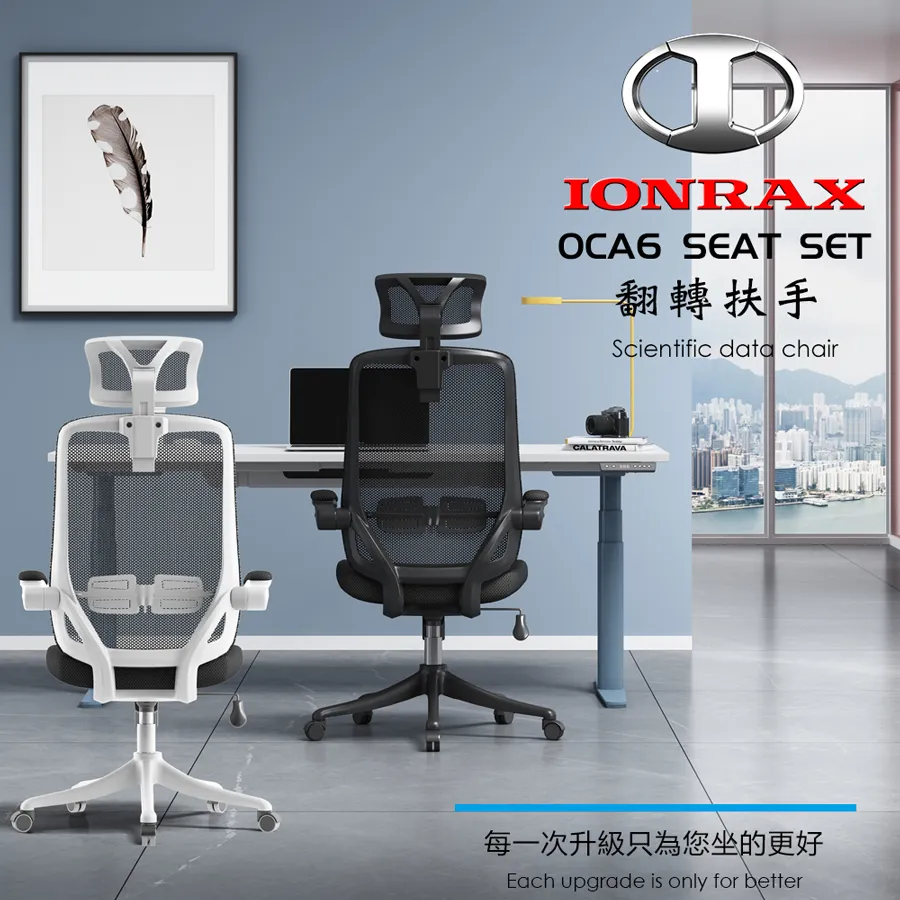 IONRAX OCA6 SEAT SET  電腦椅  辦公椅 廠商直送 現貨 歷史價格詳細信息