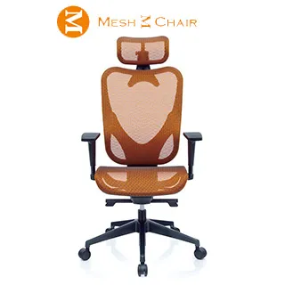 【Mesh 3 Chair】華爾滋人體工學網椅-尊爵版-酷黑(人體工學椅、網椅、電腦椅、主管椅) 歷史價格詳細信息