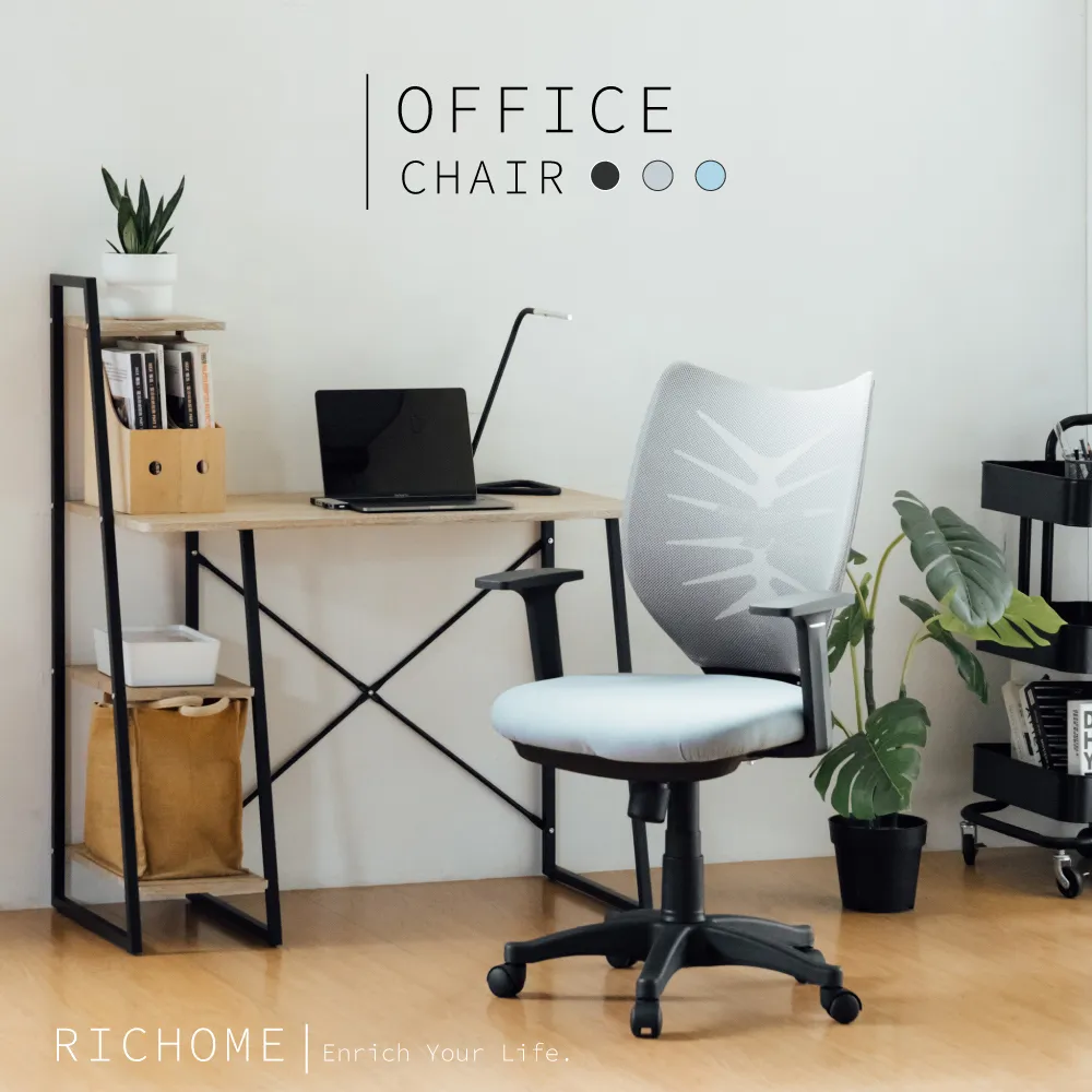 【RICHOME】瑪獅多彩辦公椅 歷史價格詳細信息