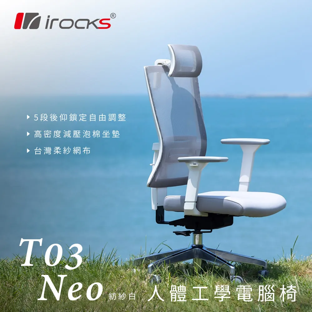 【i-Rocks】irocks T03 NEO 人體工學椅 專用保潔墊 C03N 灰色 歷史價格詳細信息