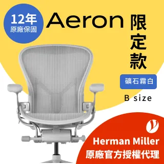 【Ystore雅浩家具】Herman Miller｜Aeron 限定款_B尺寸 歷史價格詳細信息