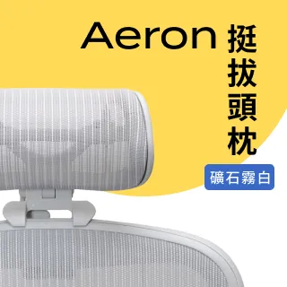 【Ystore雅浩家具】Aeron 3.0 基本款_石墨黑 C尺寸(95成新) 歷史價格詳細信息