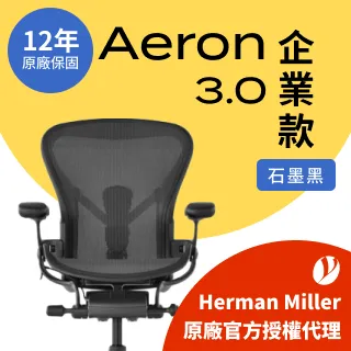 【Ystore雅浩家具】Aeron 3.0 基本款_石墨黑 C尺寸(95成新) 歷史價格詳細信息
