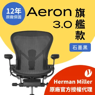 【Ystore雅浩家具】Aeron 3.0 基本款_石墨黑 C尺寸(95成新) 歷史價格詳細信息
