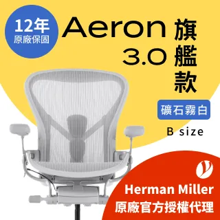 【Ystore雅浩家具】Herman Miller｜Aeron 限定款_B尺寸 歷史價格詳細信息