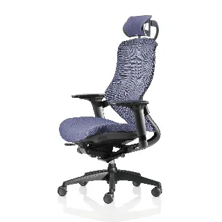 【舒樂活 4Health】NU Chair — 健康居家辦公椅（電鍍鋁合金款） 歷史價格詳細信息