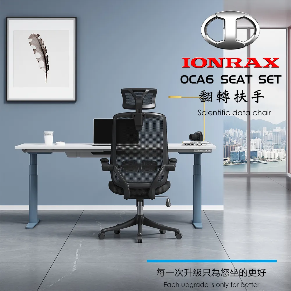 IONRAX OCA6 SEAT SET  電腦椅  辦公椅 廠商直送 現貨 歷史價格詳細信息