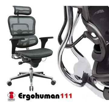 【ERGOHUMAN】111 PLUS  頂級版 人體工學透氣網椅 歷史價格詳細信息