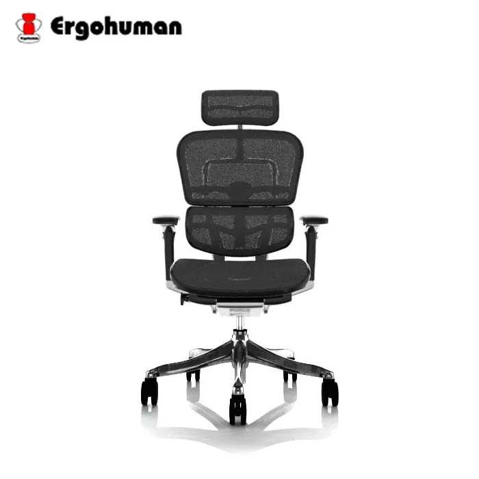 【ERGOHUMAN】111 PLUS  頂級版 人體工學透氣網椅 歷史價格詳細信息