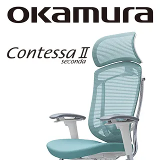 白色鼠尾草 – 大包鼠尾草（約90公克）｜淨化商品【左西購物網】 歷史價格詳細信息